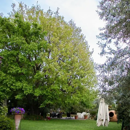 Agriturismo Paradiso Di Barchi-3